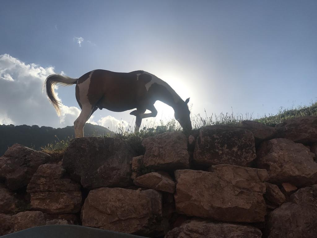 הוילה אופי La Fattoria Di Morgana מראה חיצוני תמונה